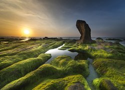 Morze, Skały, Kamienie, Wodorosty, Mech, Roślinność, Zachód słońca, Plaża Nam O Beach, Prowincja Da Nang, Wietnam