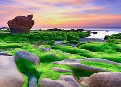 Skały porośnięte wodorstami na wietnamskiej plaży Nam O