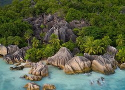 Skały pośród palm na wyspie La Digue