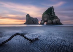 Nowa Zelandia, Morze Tasmana, Plaża, Wharariki Beach, Wybrzeże, Skały, Konar