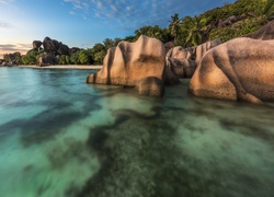 Seszele, Wyspa La Digue, Ocean, Skały, Palmy