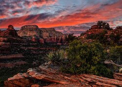 Góry, Skaliste, Szczyt, Maroon Peak, Maroon Bells, Skały, Drzewa, Rośliny, Kolorowe, Niebo, Sedona, Arizona, Stany Zjednoczone