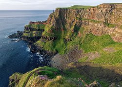 Morze, Wybrzeże, Skały, Klif, The Giants Causeway Cliffs, Hrabstwo Antrim, Irlandia Północna