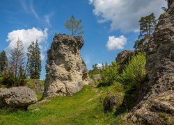 Skały, Kamienie, Trawa, Drzewa, Dolina, Wen Valley, Jura Szwabska, Niemcy