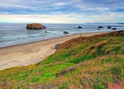 Morze, Plaża, Bandon Beach, Skała, Roślinność, Stan Oregon, Stany Zjednoczone