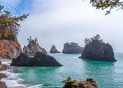 Skały, Morze, Drzewa, Park stanowy, Samuel H Boardman State Scenic Corridor, Oregon, Stany Zjednoczone