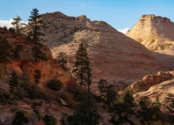 Park Narodowy Zion, Drzewa, Góry, Skały, Stan Utah, Stany Zjednoczone