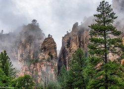 Stany Zjednoczone, Arizona, Wąwóz, Oak Creek Canyon, Skały, Mgła, Drzewa