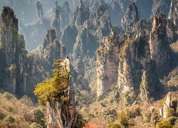 Skały w Zhangjiajie National Forest Park w Chinach