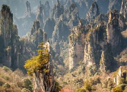 Chiny, Prowincja Hunan, Zhangjiajie National Forest Park, Skały, Góry