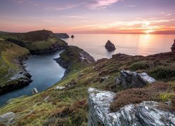 Boscastle, Morze Celtyckie, Skały, Zachód słońca, Roślinność, Kornwalia, Anglia