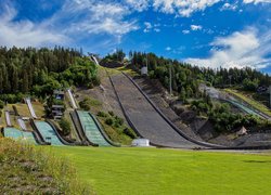 Skocznia Vikersundbakken, Drzewa, Vikersund, Gmina Modum, Norwegia