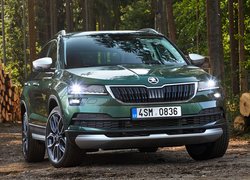 Skoda Karoq Scout