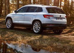 Skoda Karoq, SUV, 2015