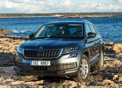 Skoda Kodiaq 2017 na kamienistym brzegu rzeki