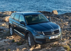 Škoda Kodiaq rocznik 2017 na kamienistym brzegu morza