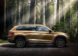 Skoda Kodiaq w promieniach słońca