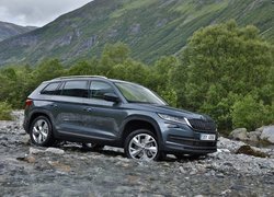 Skoda Kodiaq w wodzie