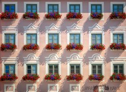 Skrzynki z kolorowymi kwiatami przy oknach na fasadzie domu