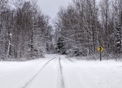 Drzewa, Ścieżka, Śnieg, Zima, Natura, Znak drogowy
