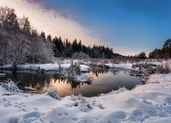 Rzeka, Zima, Śnieg, Ślady, Drzewa, Błękitne, Niebo