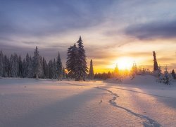 Ślady na śniegu w promieniach słońca