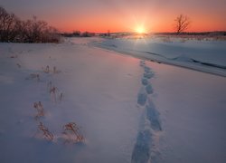 Zima, Śnieg, Ślady, Promienie słońca, Drzewa, Zaśnieżona, Rzeka