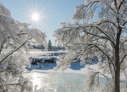 Słońce nad rzeką zimową porą