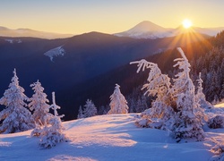 Zima, Góry, Drzewa, Las, Wschód słońca