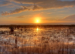 Stany Zjednoczone, Floryda, Park Narodowy Everglades, Zachód Słońca, Bagno