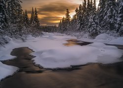 Słońce zachodzi za ośnieżone świerki nad rzeką