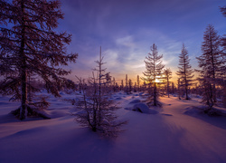 Słońce żegna się z zaśnieżonym lasem