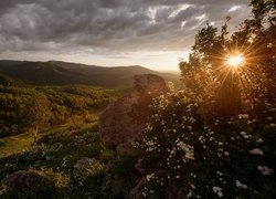 Góry, Dolina, Rośliny, Drzewa, Kwiaty, Kamień, Promienie słońca