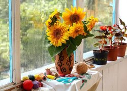 Słoneczniki w wazonie przy oknie