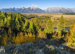 Park Narodowy Grand Teton, Góry, Teton Range, Las, Drzewa, Rzeka Snake River, Stan Wyoming, Stany Zjednoczone