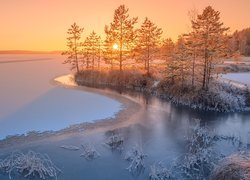 Rosja, Karelia, Jezioro, Ładoga, Drzewa, Zima, Wschód słońca