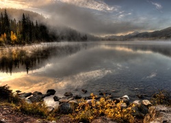 Smugi mgły nad kamienistym jeziorem przy lesie
