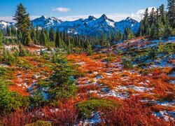 Park Narodowy Mount Rainier, Góry, Tatoosh Range, Łąka, Jesień, Roślinność, Drzewa, Śnieg, Stan Waszyngton, Stany Zjednoczone