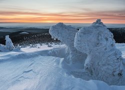 Śnieg na drzewach w górach