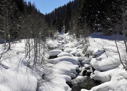 Śnieg na kamieniach w leśnym strumieniu