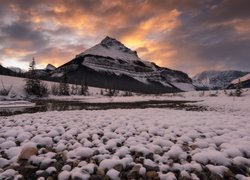 Zima, Góry, Drzewa, Chmury, Alberta, Kanada