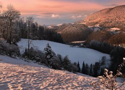 Zima, Góry, Drzewa, Śnieg, Dom, Tiefmatt, Szwajcaria