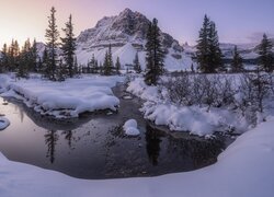 Kanada, Alberta, Park Narodowy Banff, Góry, Jezioro, Zima, Drzewa, Wschód słońca
