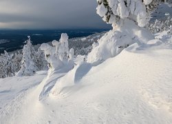 Zima, Zaspy, Drzewa, Zbocze, Góry Argydzhek, Kraj Krasnojarski, Rosja