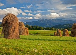 Łąka, Farmy i pola, Snopki, Siano, Słoneczny, Blask, Podhale, Góry, Tatry, Polska