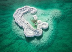 Solna wyspa na Morzu Martwym