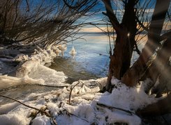 Sople na krzewach i drzewa w śniegu nad jeziorem Ammersee