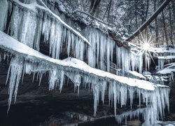 Sople, Lód, Skała, Zima, Promienie słońca, Drzewa, Las