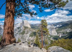 Góry, Szczyt Half Dome, Drzewa, Sosny, Park Narodowy Yosemite, Kalifornia, Stany Zjednoczone