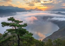 Góry, Rzeka, Most, Mgła, Drzewo, Sosna, Chmury, Promienie słońca, Korea